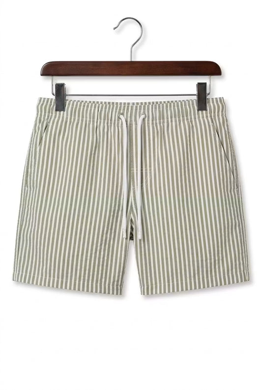 Coastal Stripe Swim Shorts