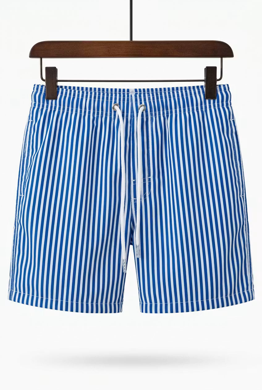 Coastal Stripe Swim Shorts