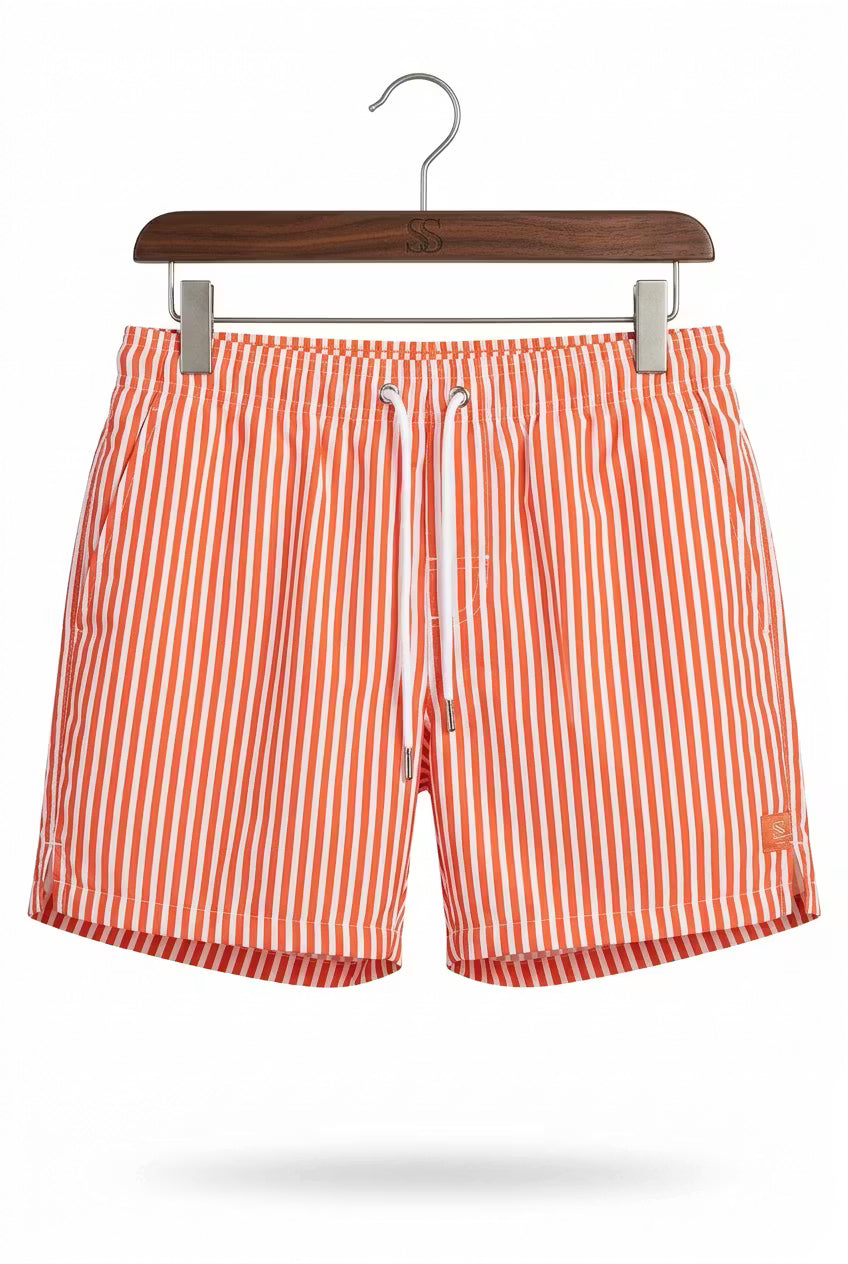 Coastal Stripe Swim Shorts
