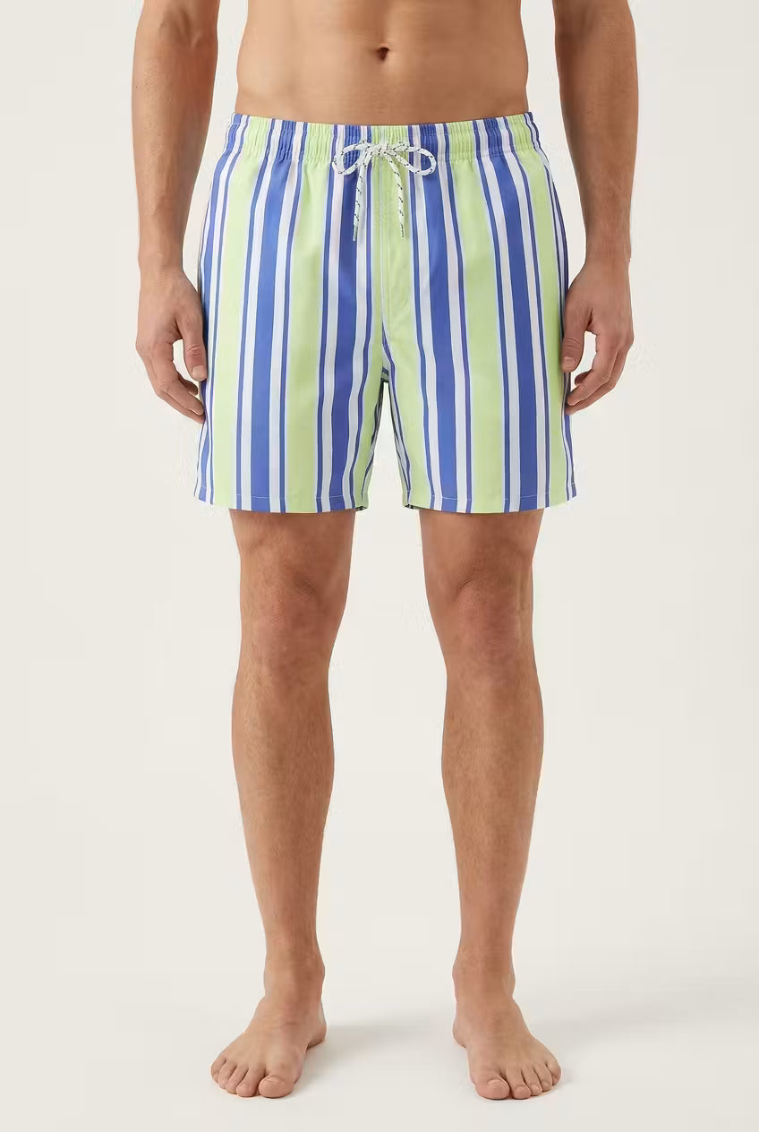 Seaside Stripe Swim Shorts
