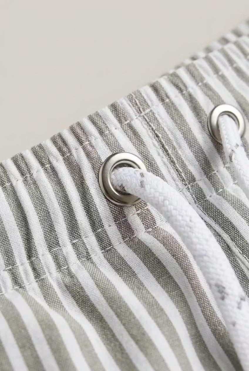 Coastal Stripe Swim Shorts