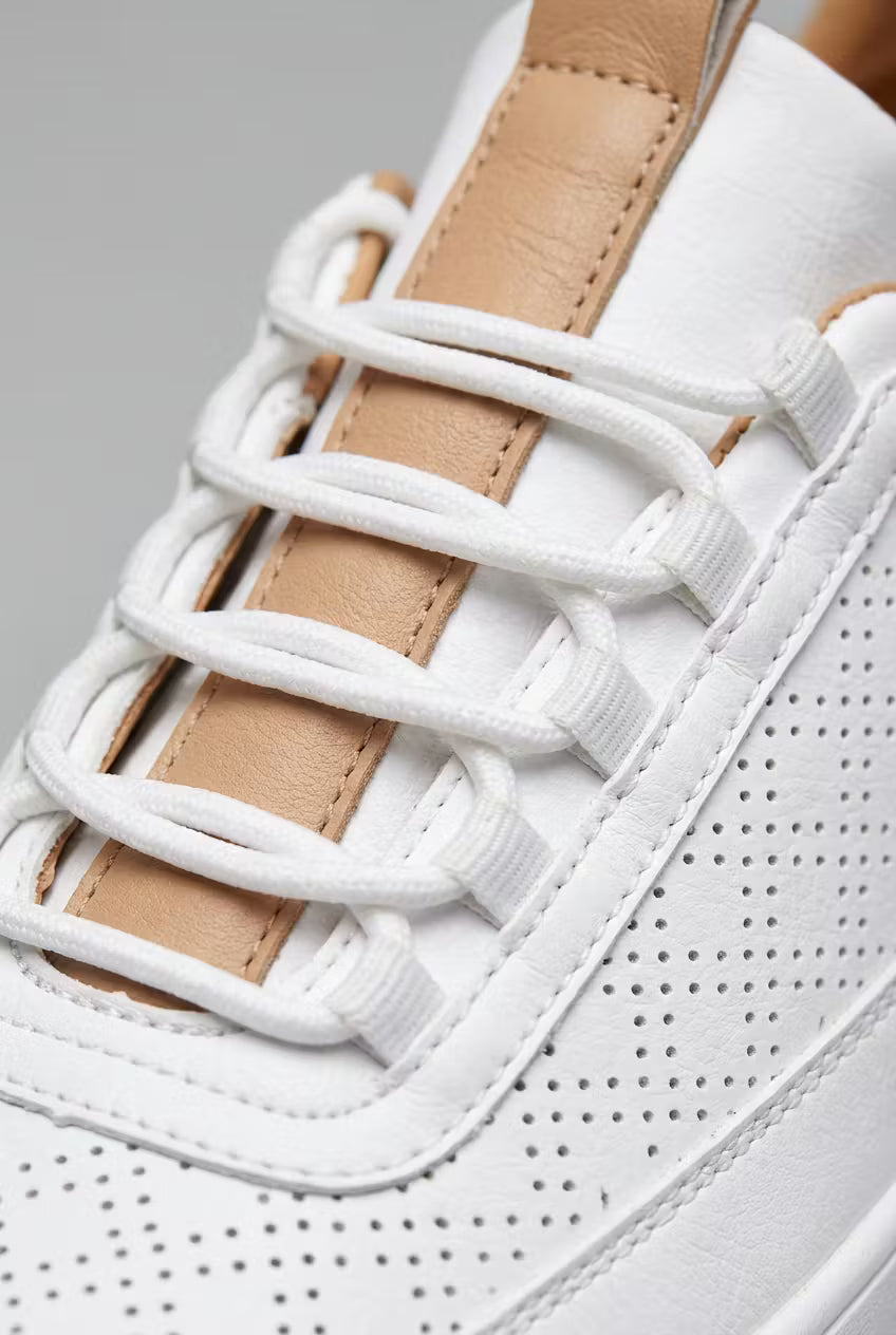 Harbour Court Perforated Sneakers