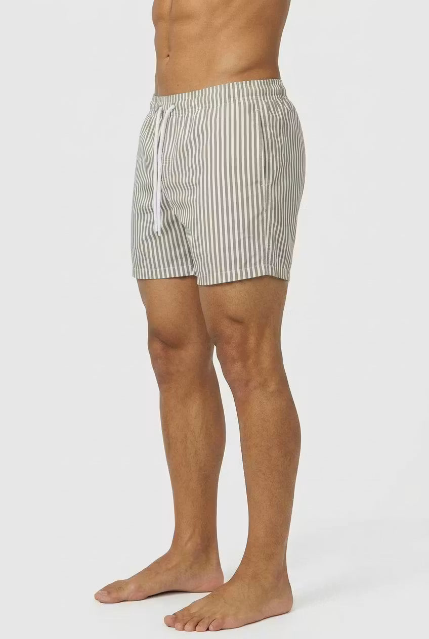 Coastal Stripe Swim Shorts