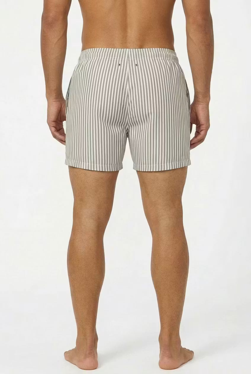 Coastal Stripe Swim Shorts