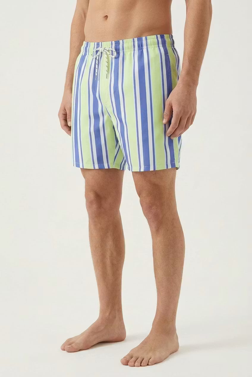 Seaside Stripe Swim Shorts
