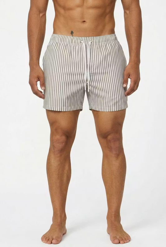 Coastal Stripe Swim Shorts