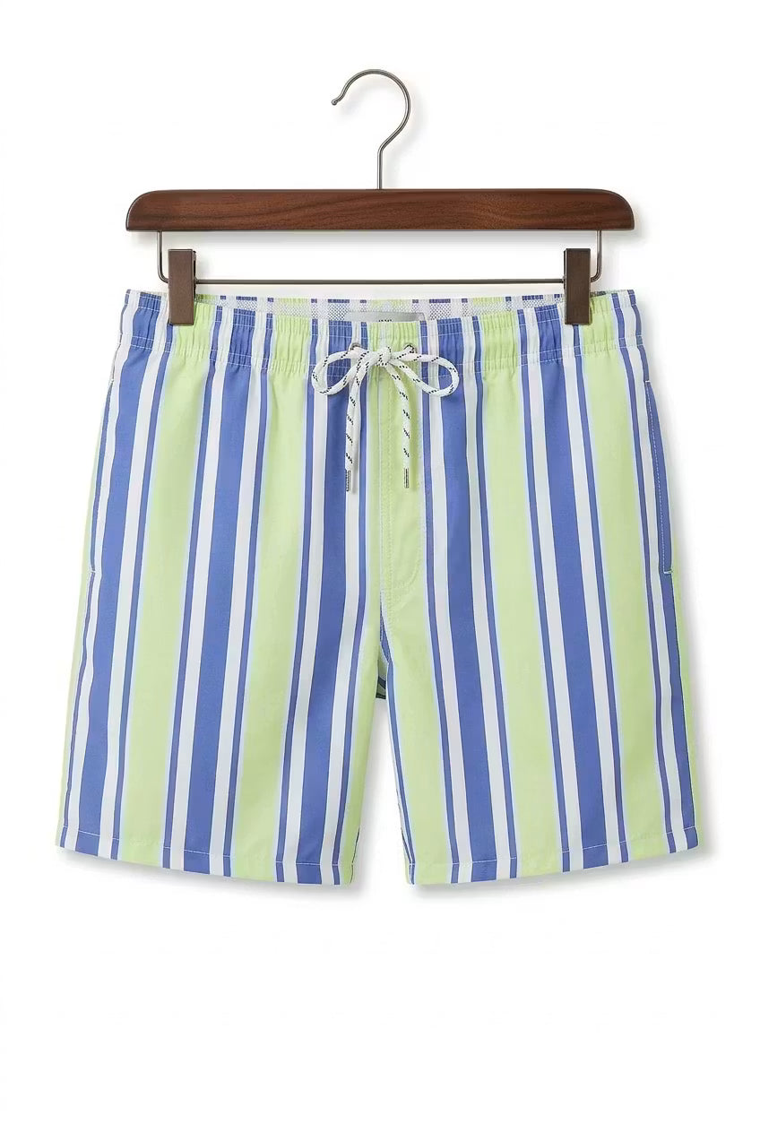 Seaside Stripe Swim Shorts