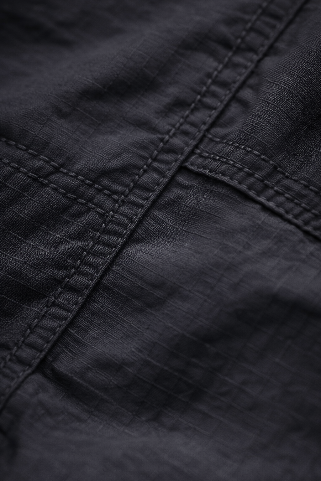 The Ridge Utility Crinkle Cargo Pants